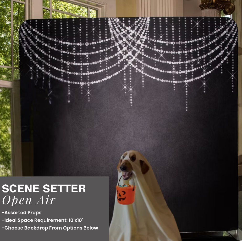 Dog in ghost costume under white hanging lights against a black backdrop for an