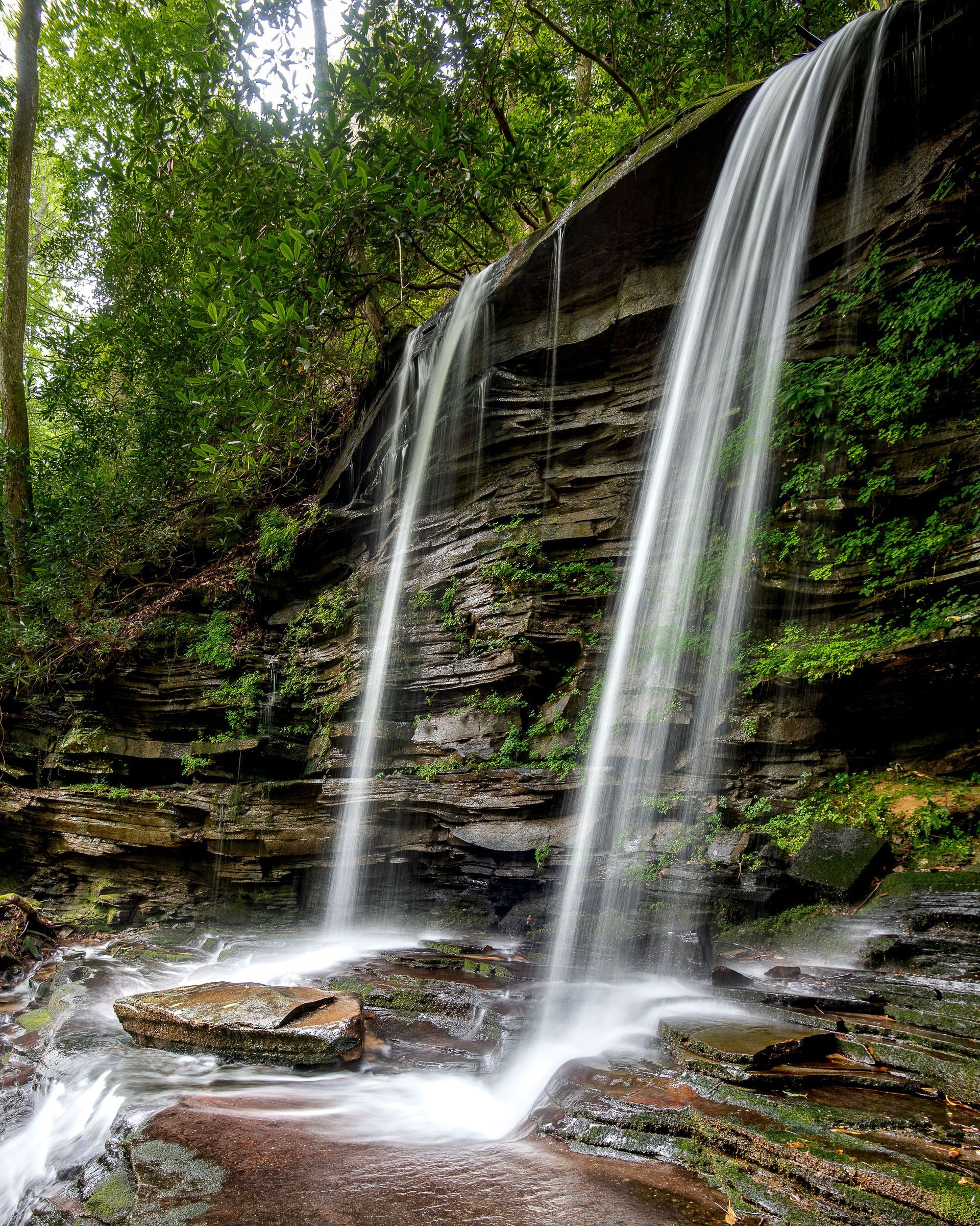 a waterfall is surrounded by trees and rocks in the middle of a forest .  Talking Excitingly, Brad Burgess Photography