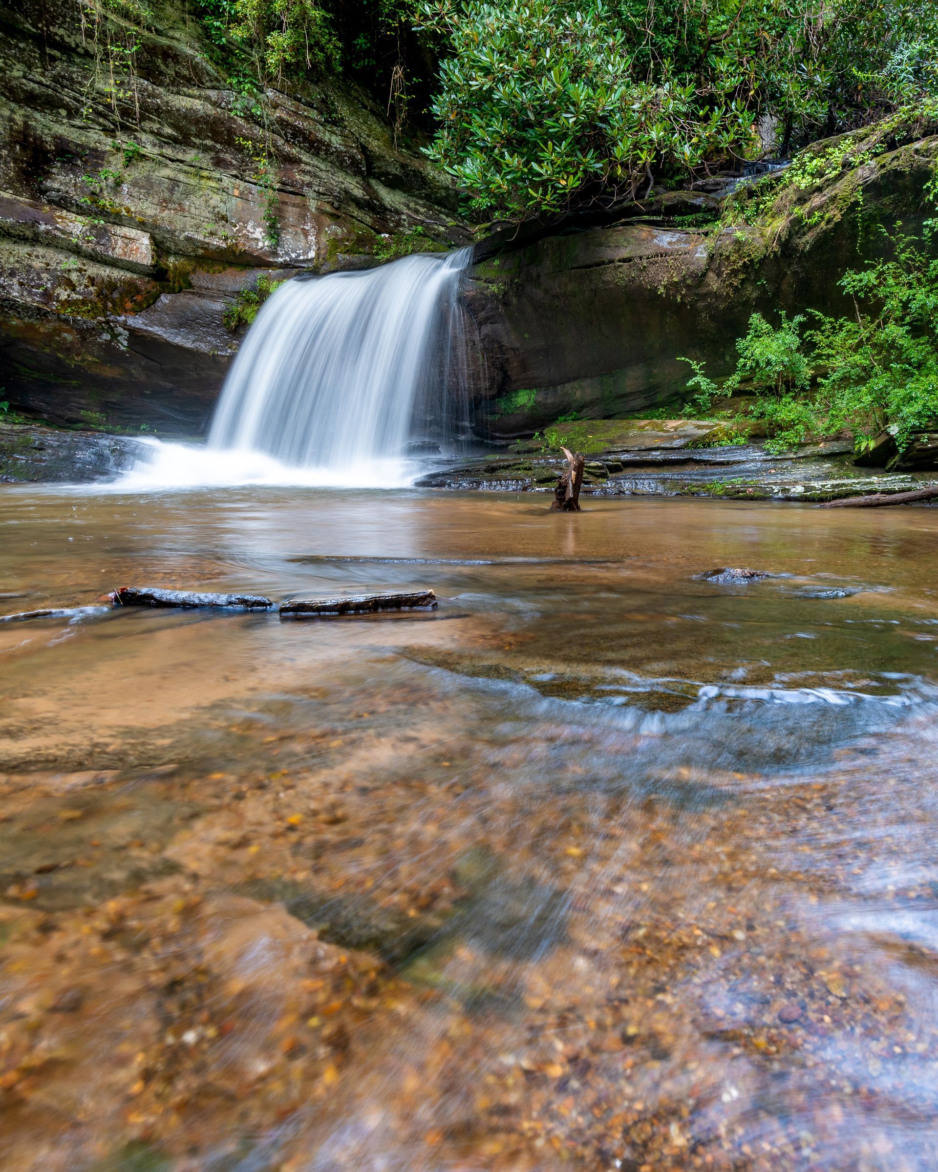 a waterfall is surrounded by trees and rocks in the middle of a river . Raper Creek Falls, Talking Excitingly, Brad Burgess Photography