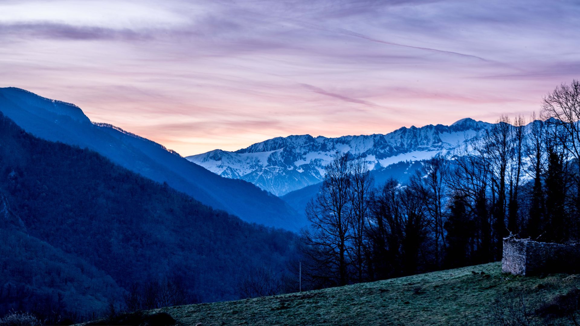 a sunset over a snowy mountain range with trees in the foreground . French Pyrenees, Seix, Talking Excitingly, Brad Burgess Photography