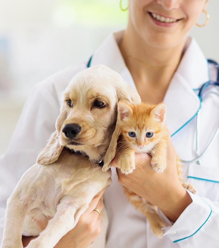 HUMAN TOUCH CLINICA VETERINARIA