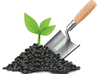 A shovel with a plant growing out of it