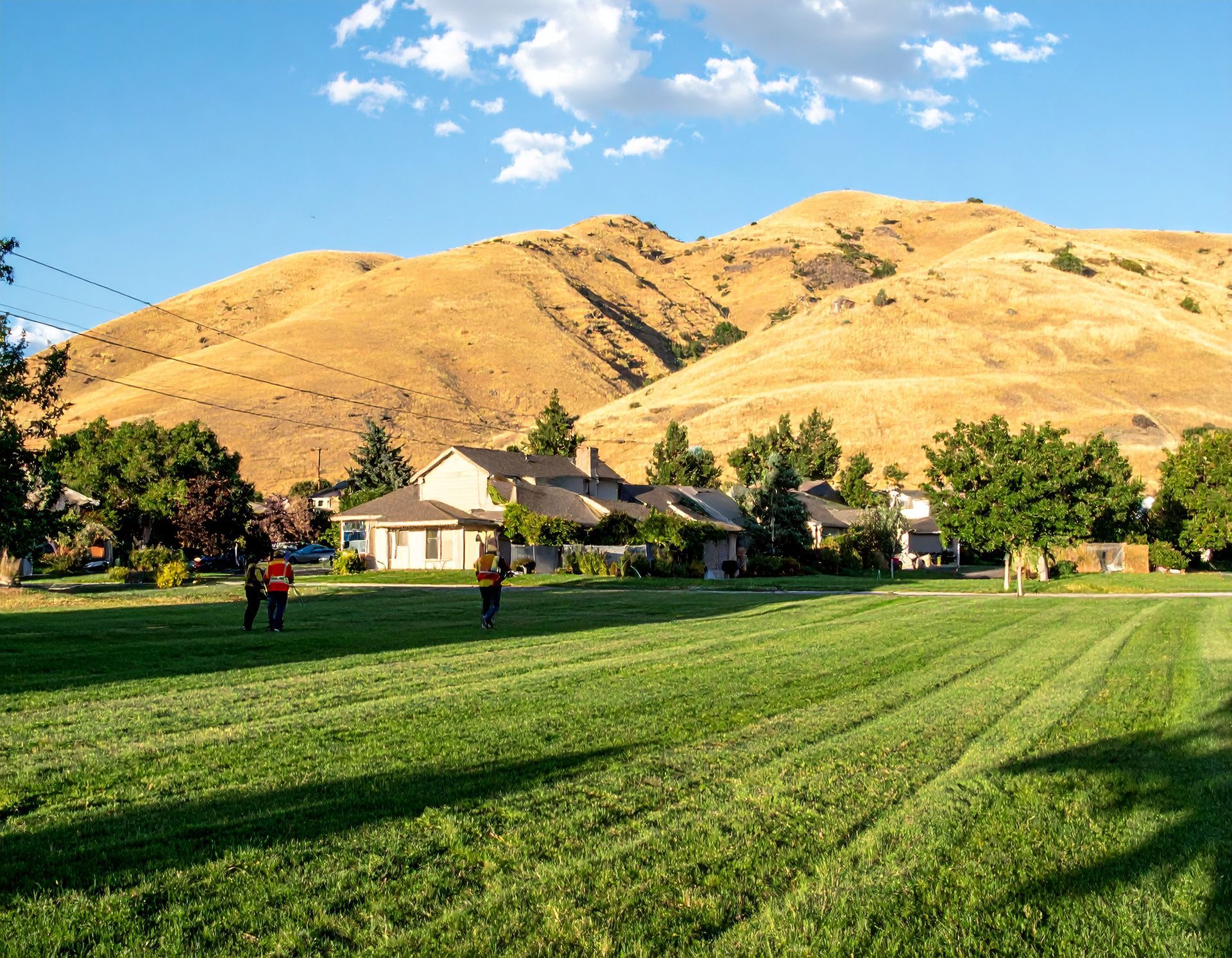 Green park lawn with people, trees, houses, and sunlit tan hills in the background