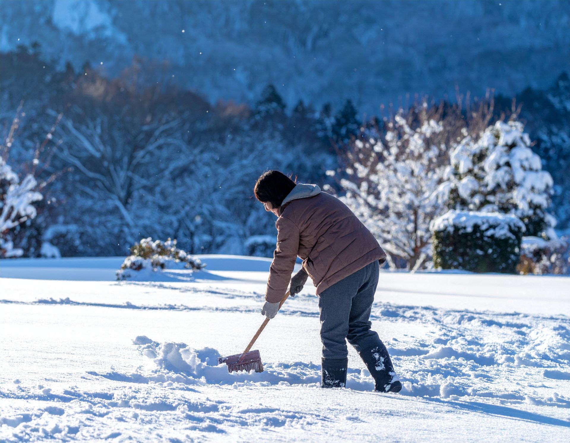 Person shoveling snow in a snowy yard with mountains and trees in the background