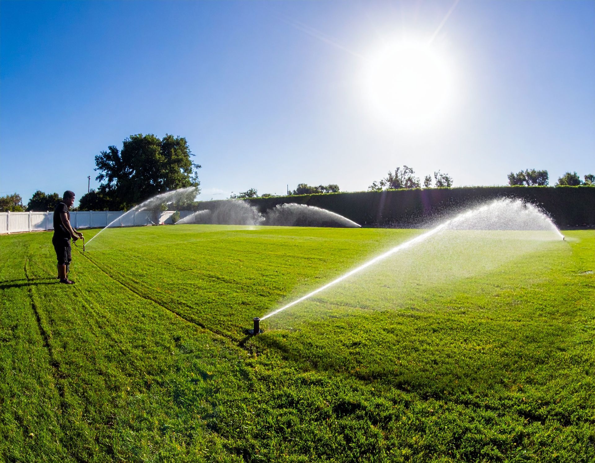 sprinklers spray water under a sunny, clear blue sky — residential sprinkler repair near me