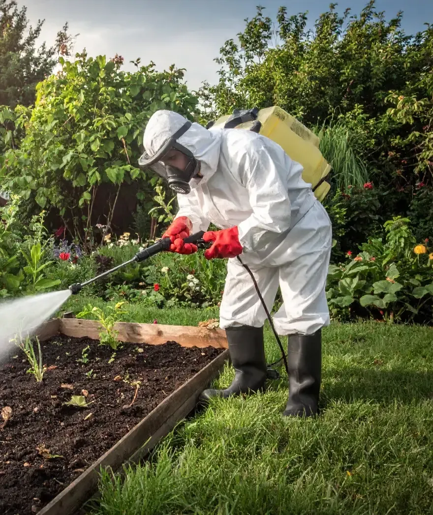 Person in protective suit spraying a garden.