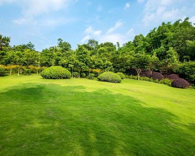 A person is mowing a lush green lawn with a lawn mower.