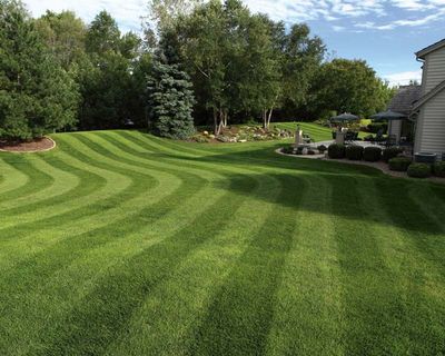 A lush green lawn with a house in the background and trees in the background.