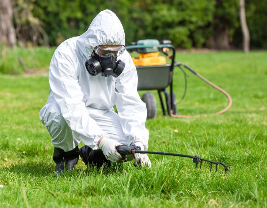 Person in protective suit spraying lawn with pesticide.