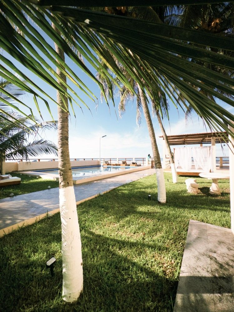 Las palmeras enmarcan un césped verde junto a una piscina y el océano, bajo un cielo azul brillante.
