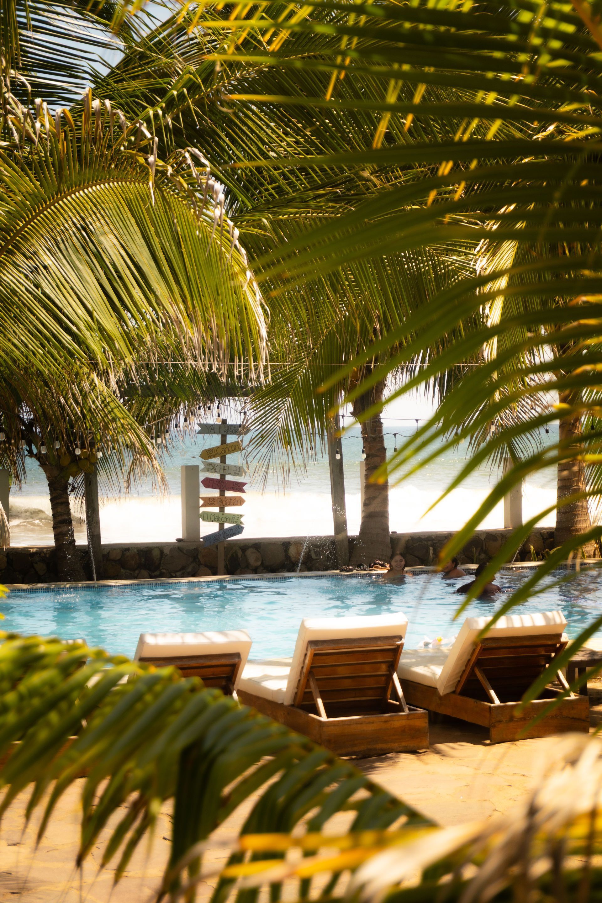 Piscina con tumbonas bajo palmeras, cerca de una playa.