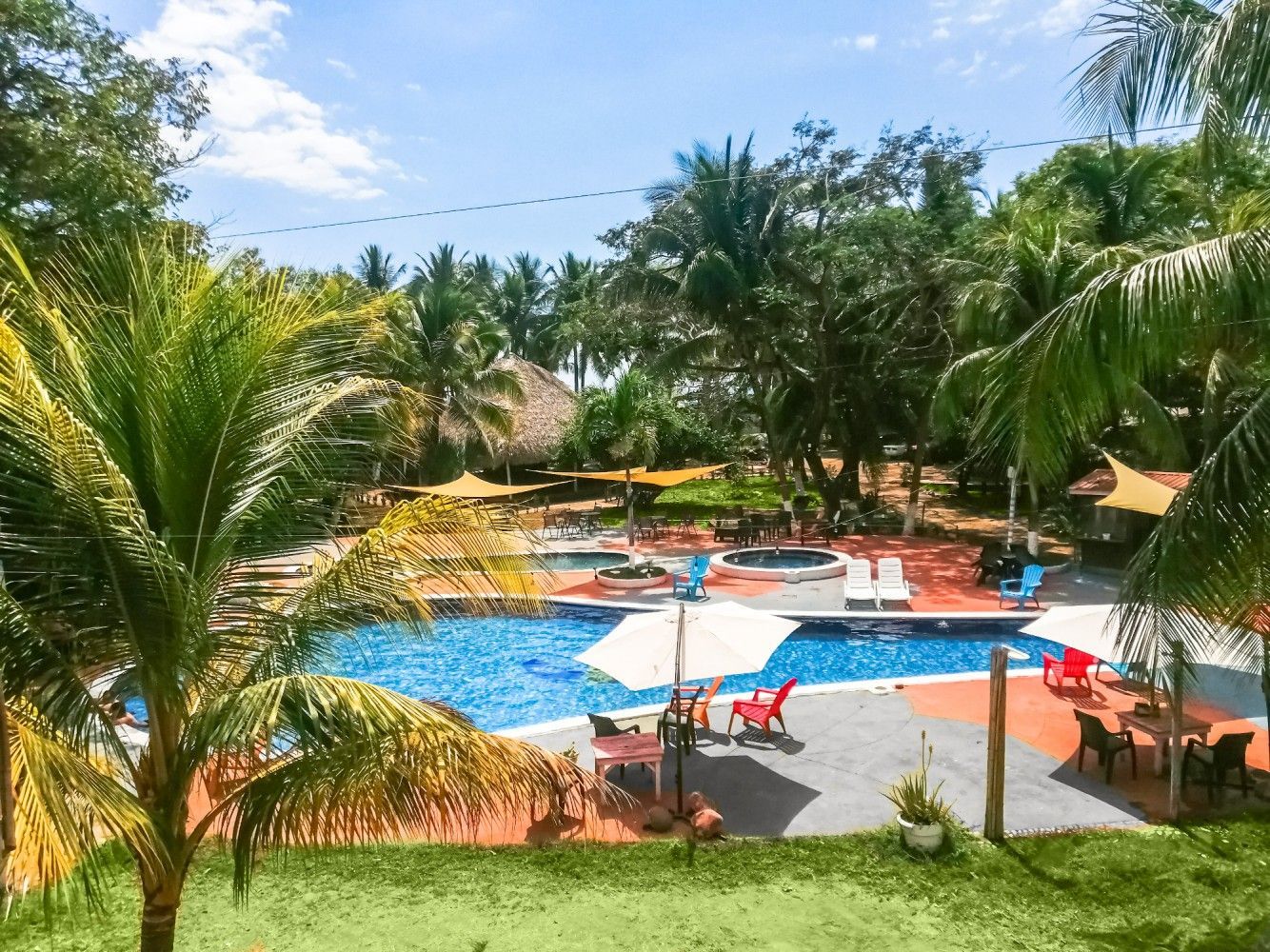 Piscina rodeada de palmeras, mesas y sombrillas en un día soleado.