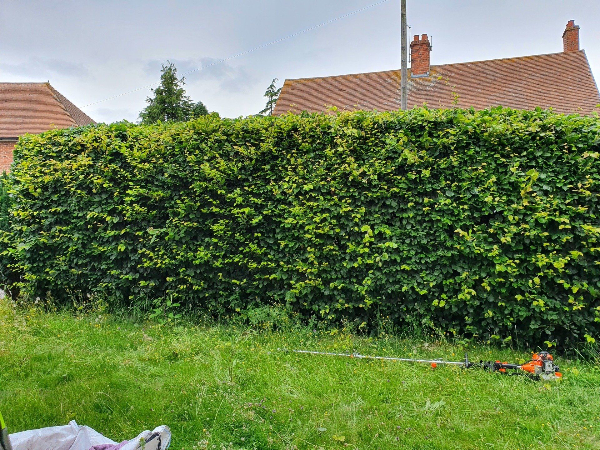 Hedge Cutting Canterbury