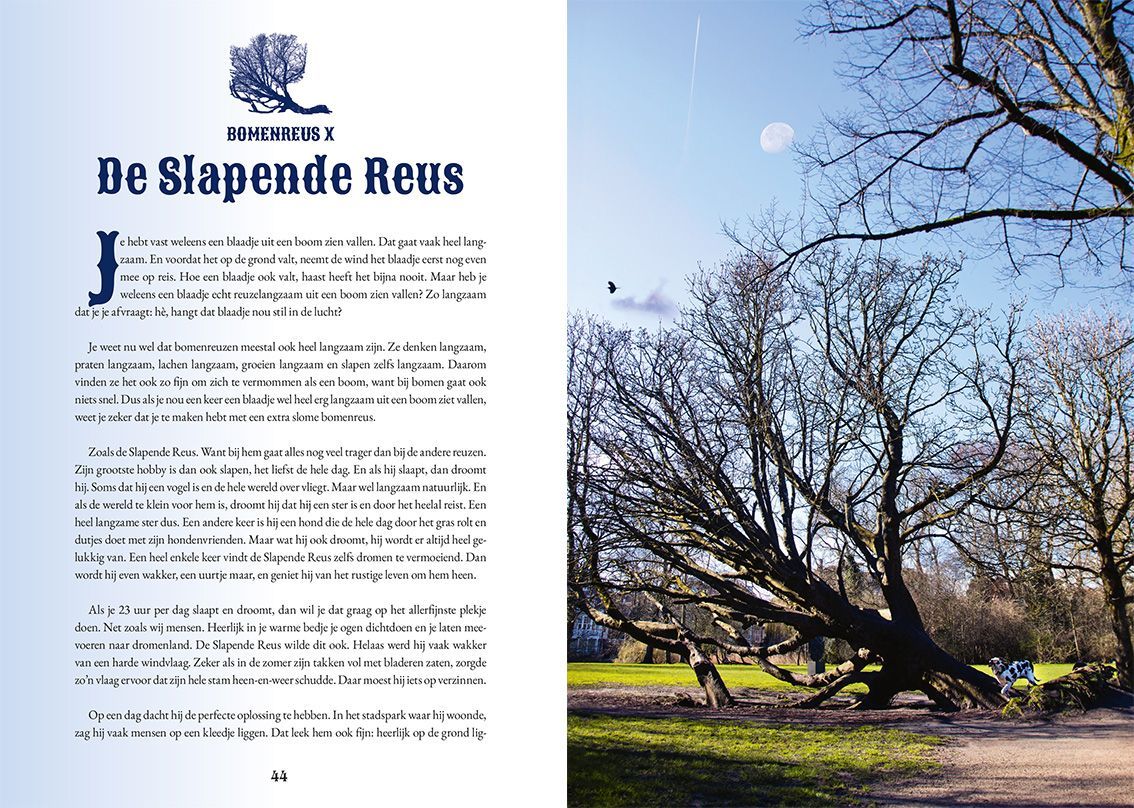 Lees 'De Reuzen van de Stad' en ontdek de unieke verhalen van bomen. Bestel nu voor € 19,95 voor de feestdagen!