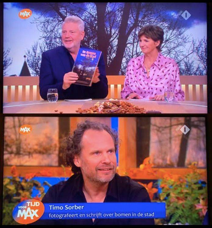 Lees 'De Reuzen van de Stad' en ontdek de unieke verhalen van bomen. Bestel nu voor € 19,95 voor de feestdagen!