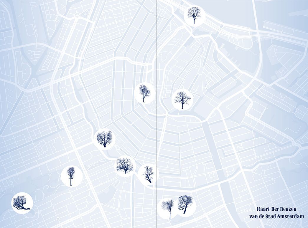 Lees 'De Reuzen van de Stad' en ontdek de unieke verhalen van bomen. Bestel nu voor € 19,95 voor de feestdagen!