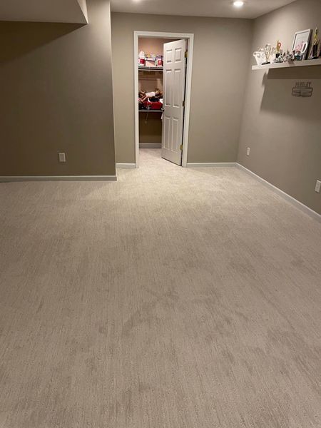 A room with a carpeted floor and a door leading to a closet.
