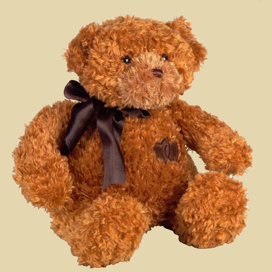 Comfort cub teddy bear