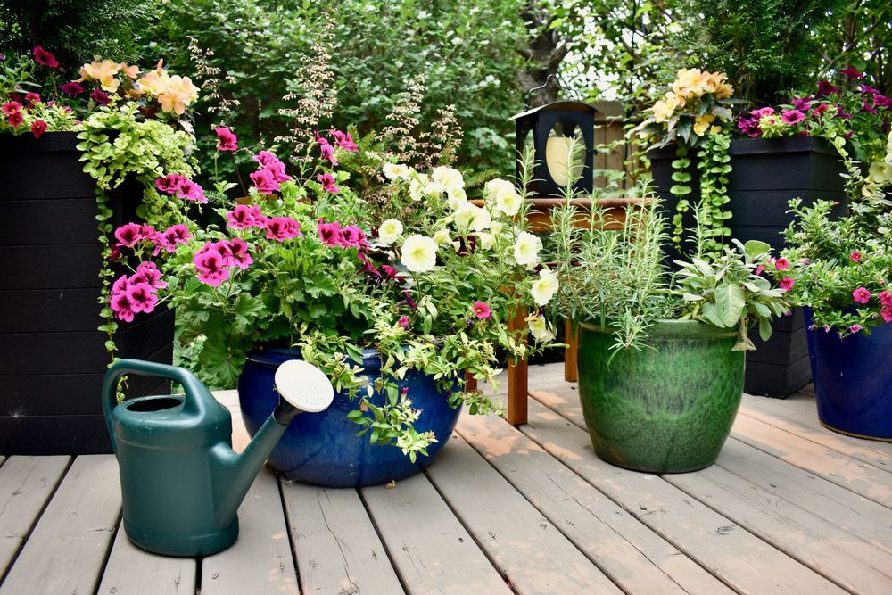 Potted plants need to be removed from decking