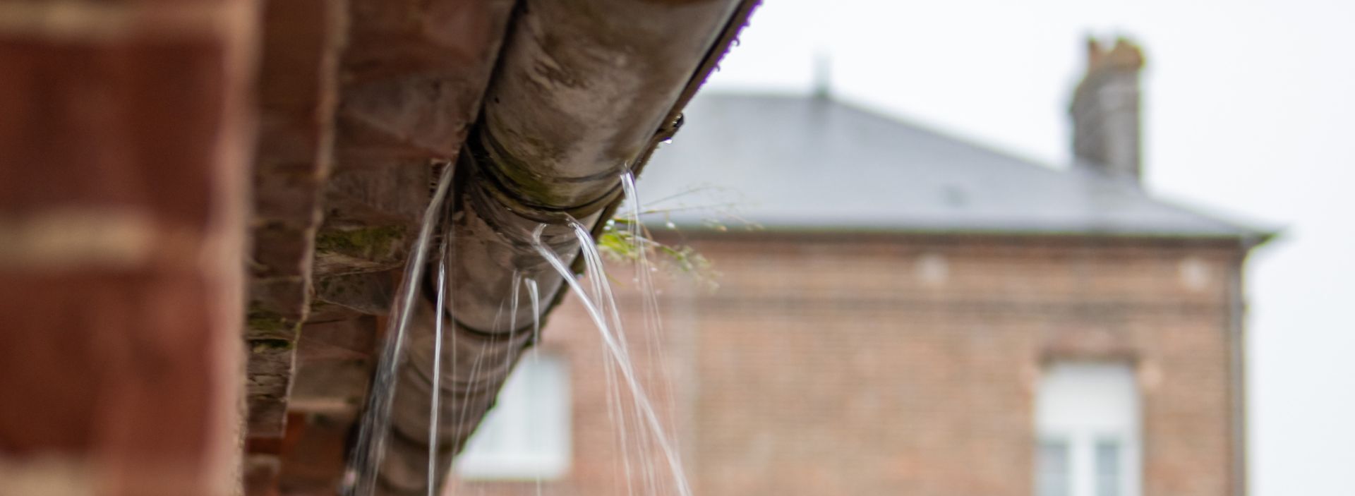 Hedon Exterior Cleaning | Your gutter cleaning experts in Hull, East Yorkshire