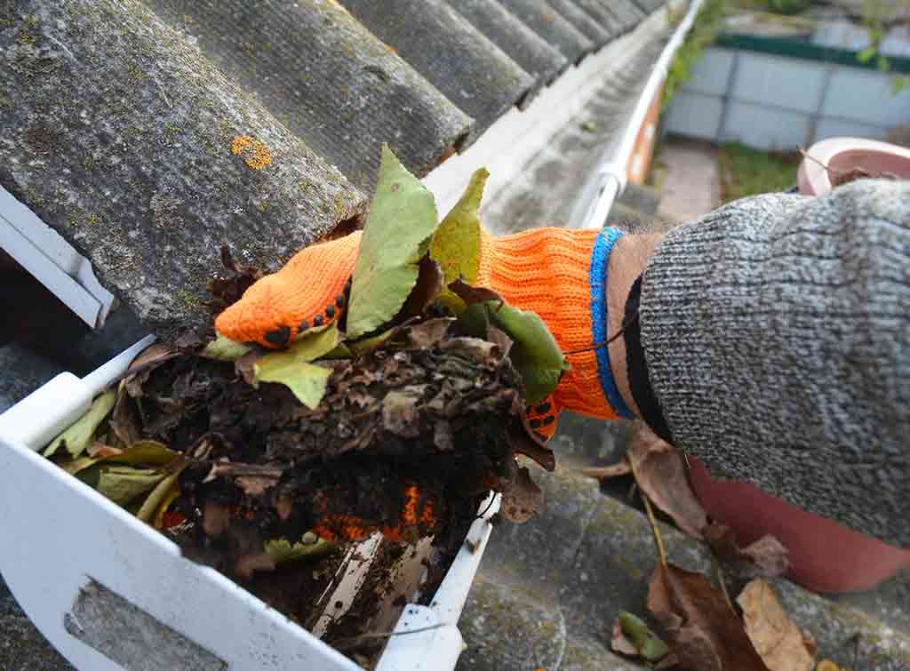 Gutter inspection and cleaning: Professional maintenance to prevent water damage, clear debris, and ensure proper drainage.