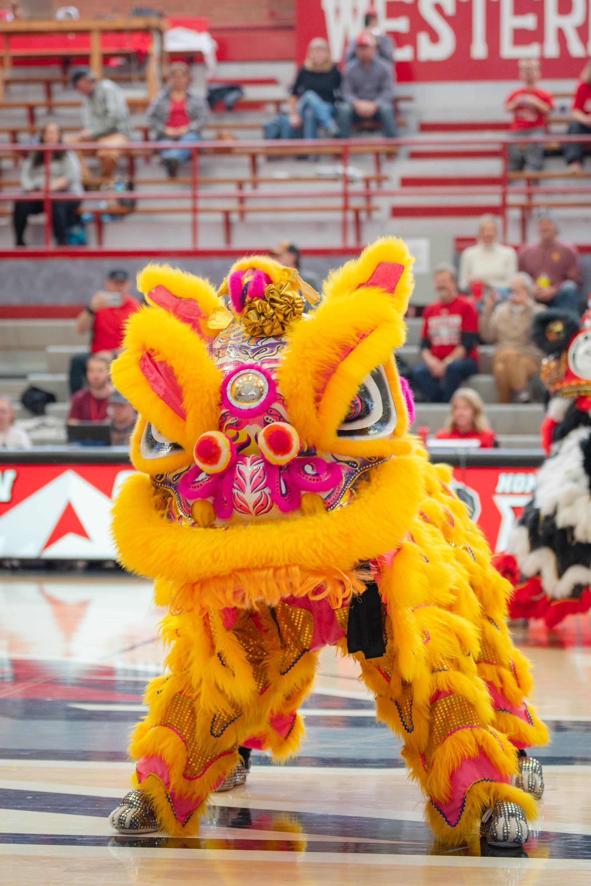 Yellow and pink Chinese lion dance costume performing on a court, people watching in stands.