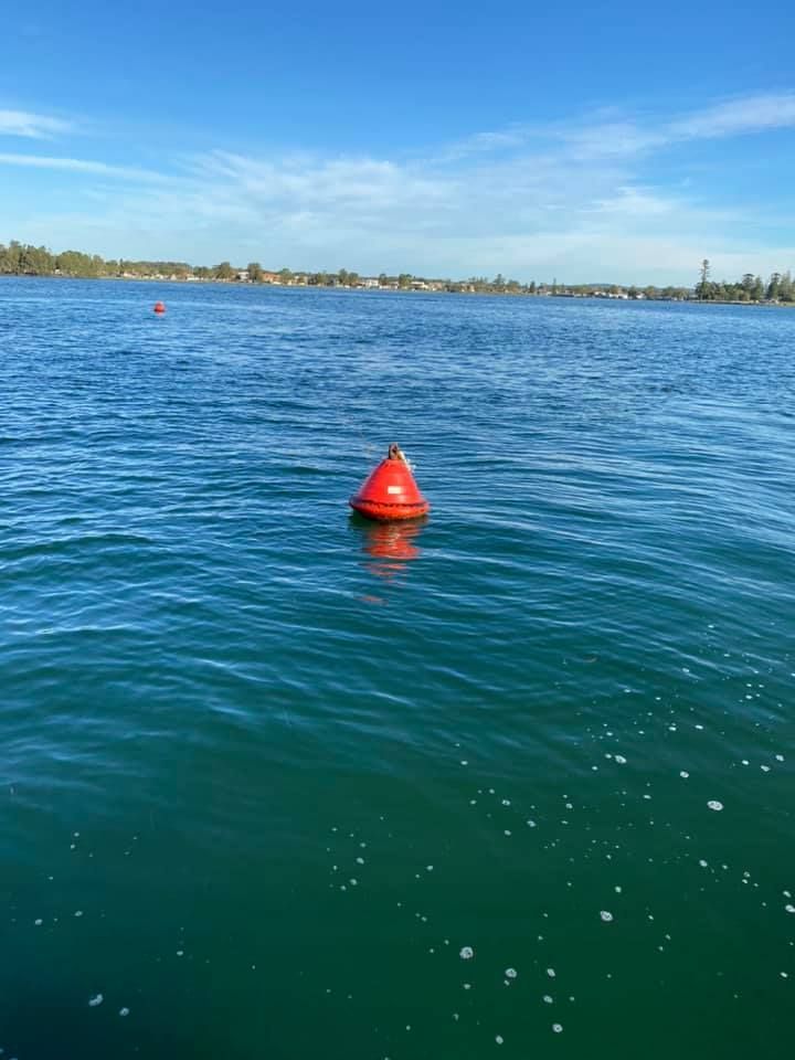 A red buoy is floating in the middle of a large body of water.