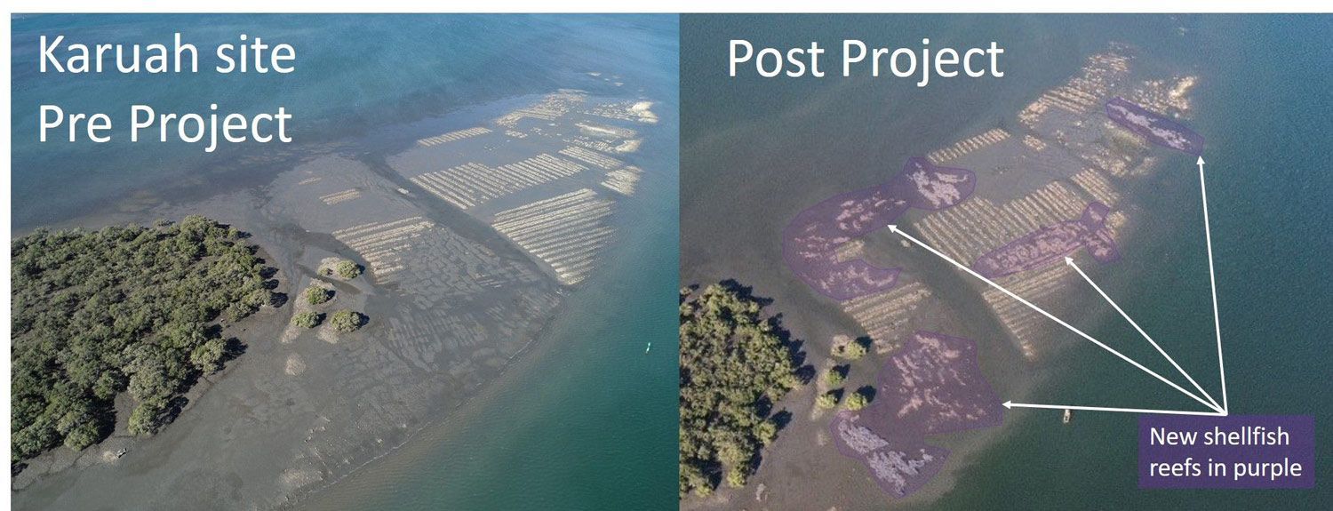 Karuah Site  Pre Project and Post Project — M&J Marine Services in Medowie, NSW