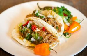 A white plate topped with two tacos and a pepper.