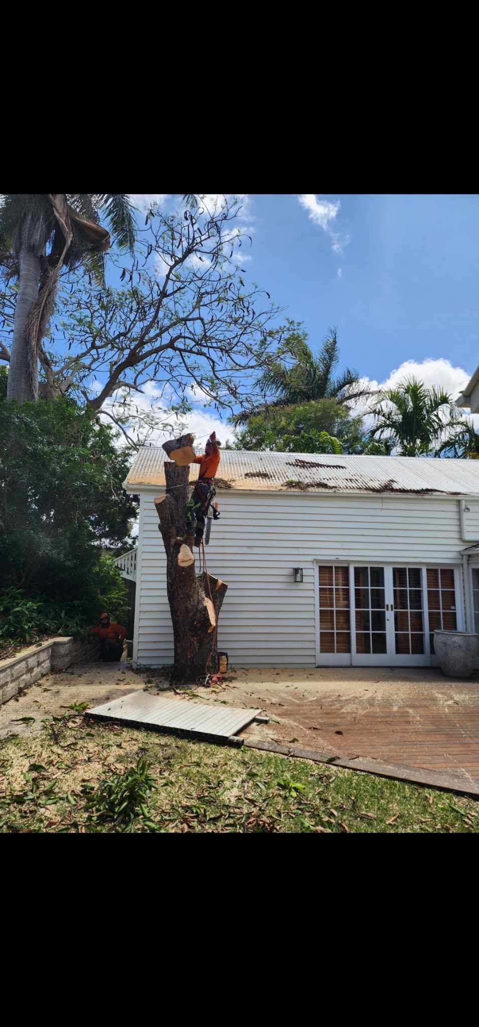 A man after trimming a tree — Barlows Tree Services in Rockhampton, QLD