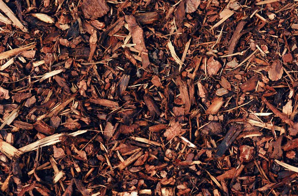 Brown & red tree mulch on ground — Barlows Tree Services in Rockhampton, QLD