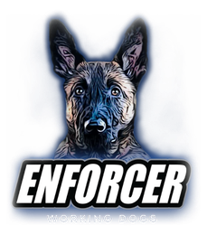 Enforcer working dogs, Ohio. Police Dogs, training obedience