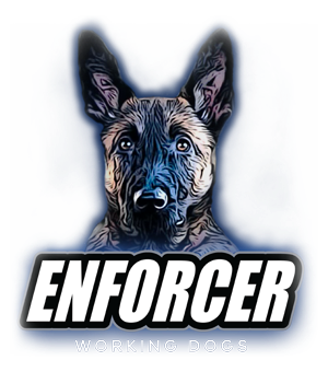 Enforcer Working Dogs Obedience • Scent Detection • Personal Protection • Police Youngstown Ohio