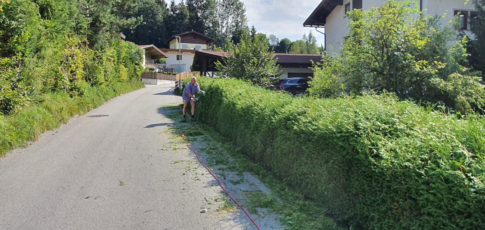 Schnittservice Hecke