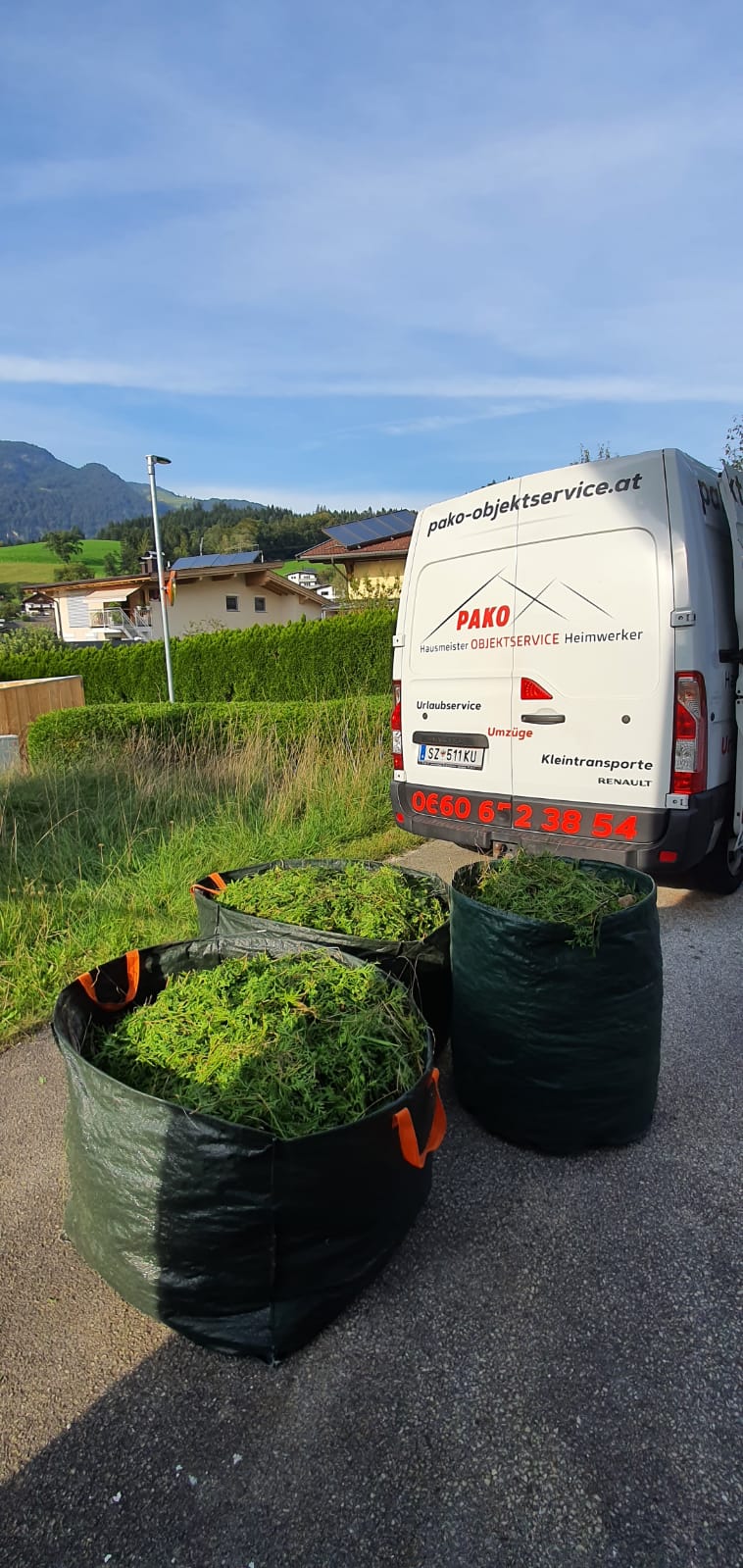 Rasenschnitt und Gartenpflege