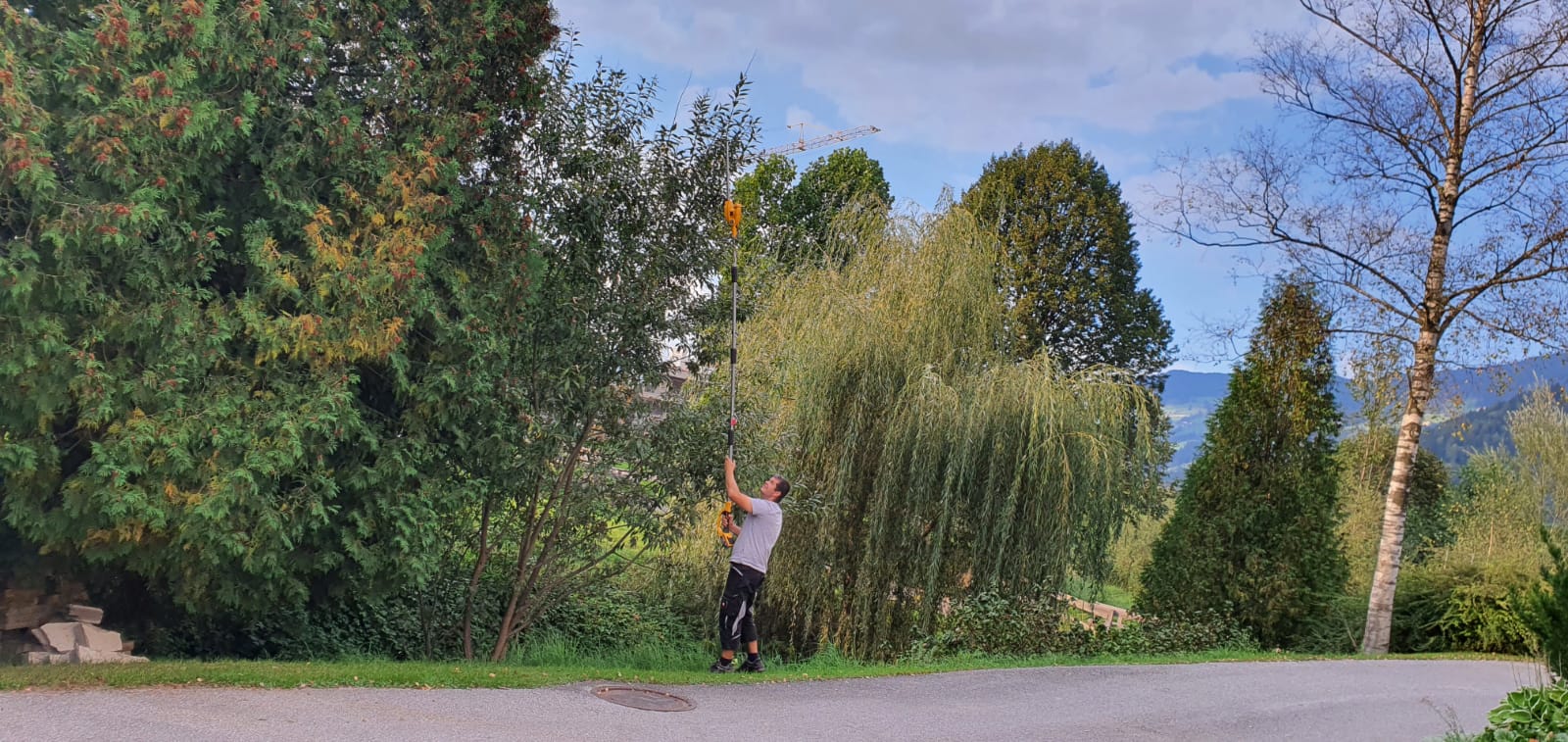 Schnittservice Hecke