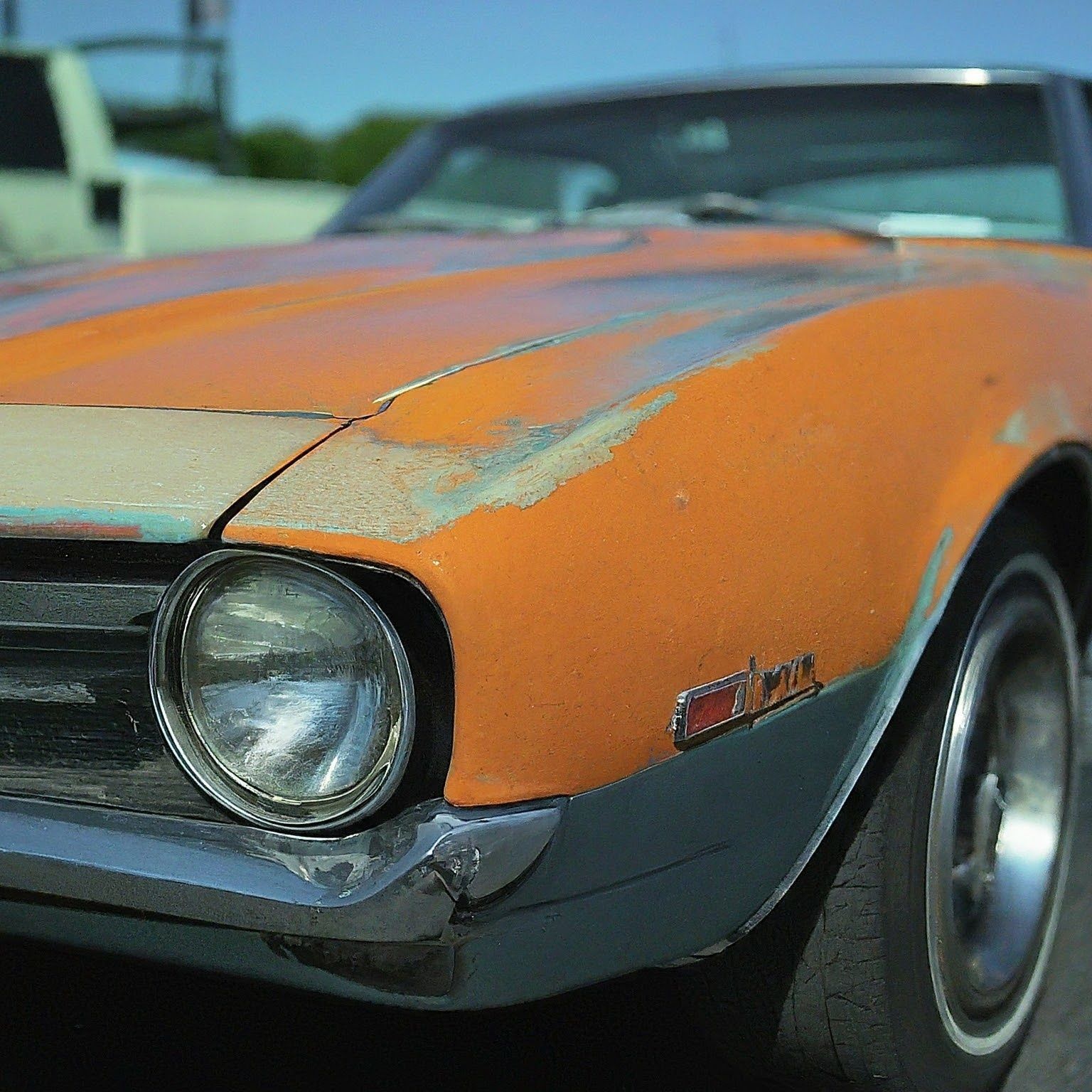 A close up of an orange car with the word muscle on the side