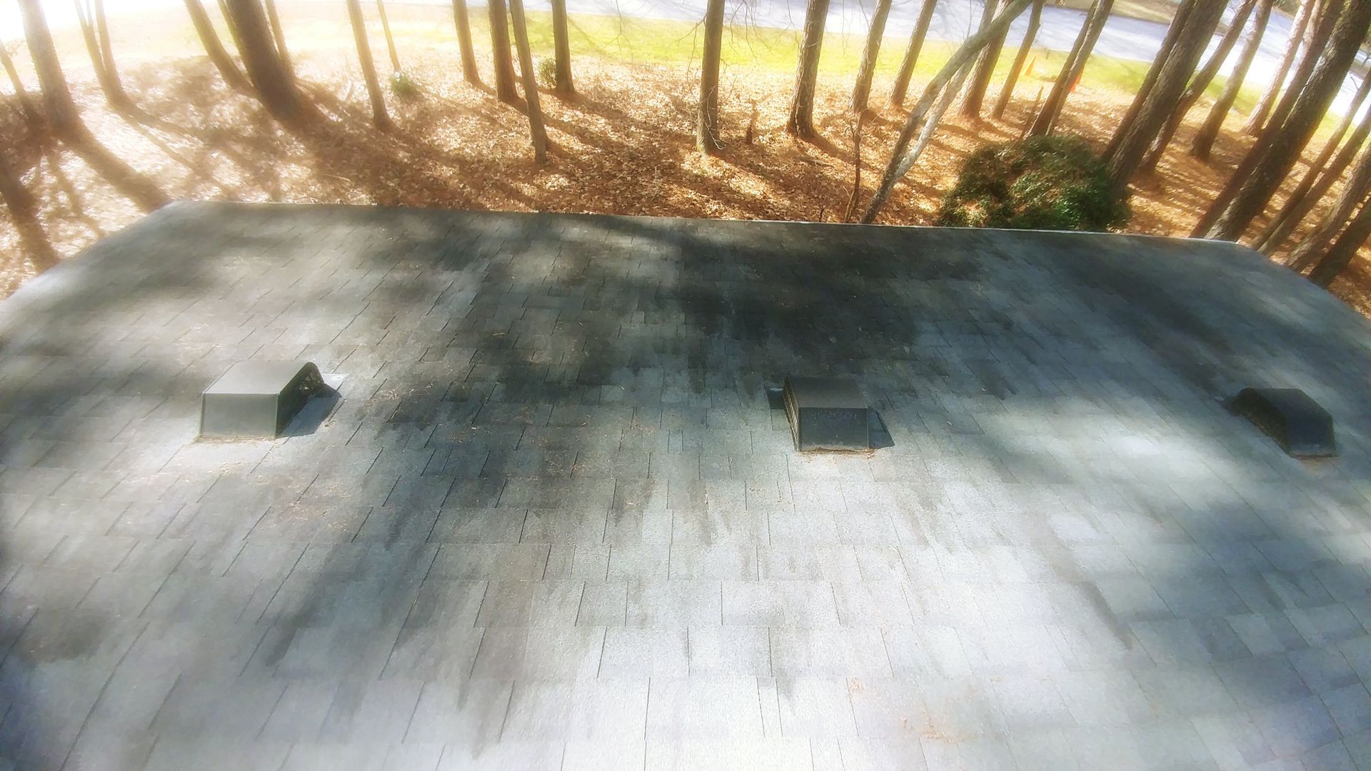 A roof with a lot of trees in the background.