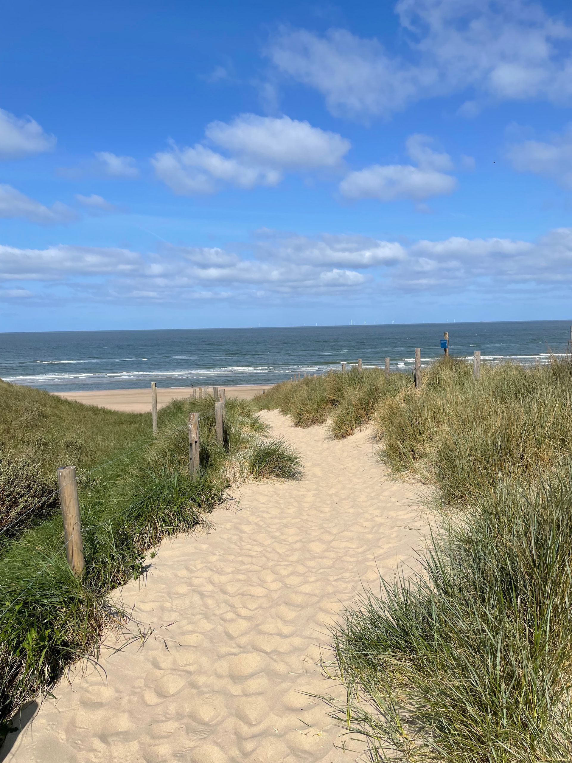 Hoe vind ik een andere baan