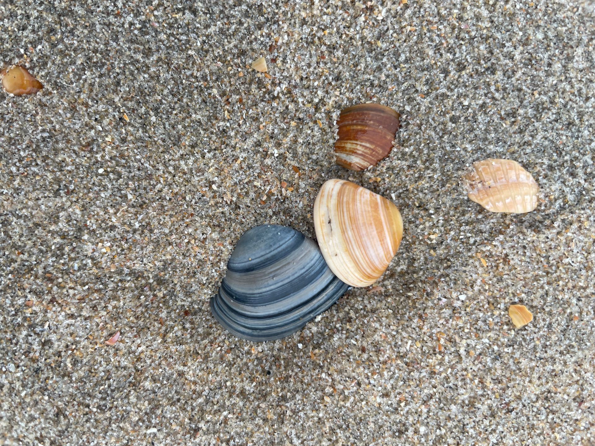 welke-baan-past-bij-mij