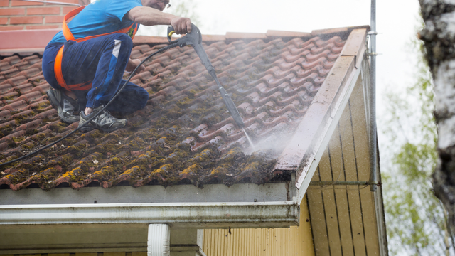 Thriving Gutters Roof Cleaning