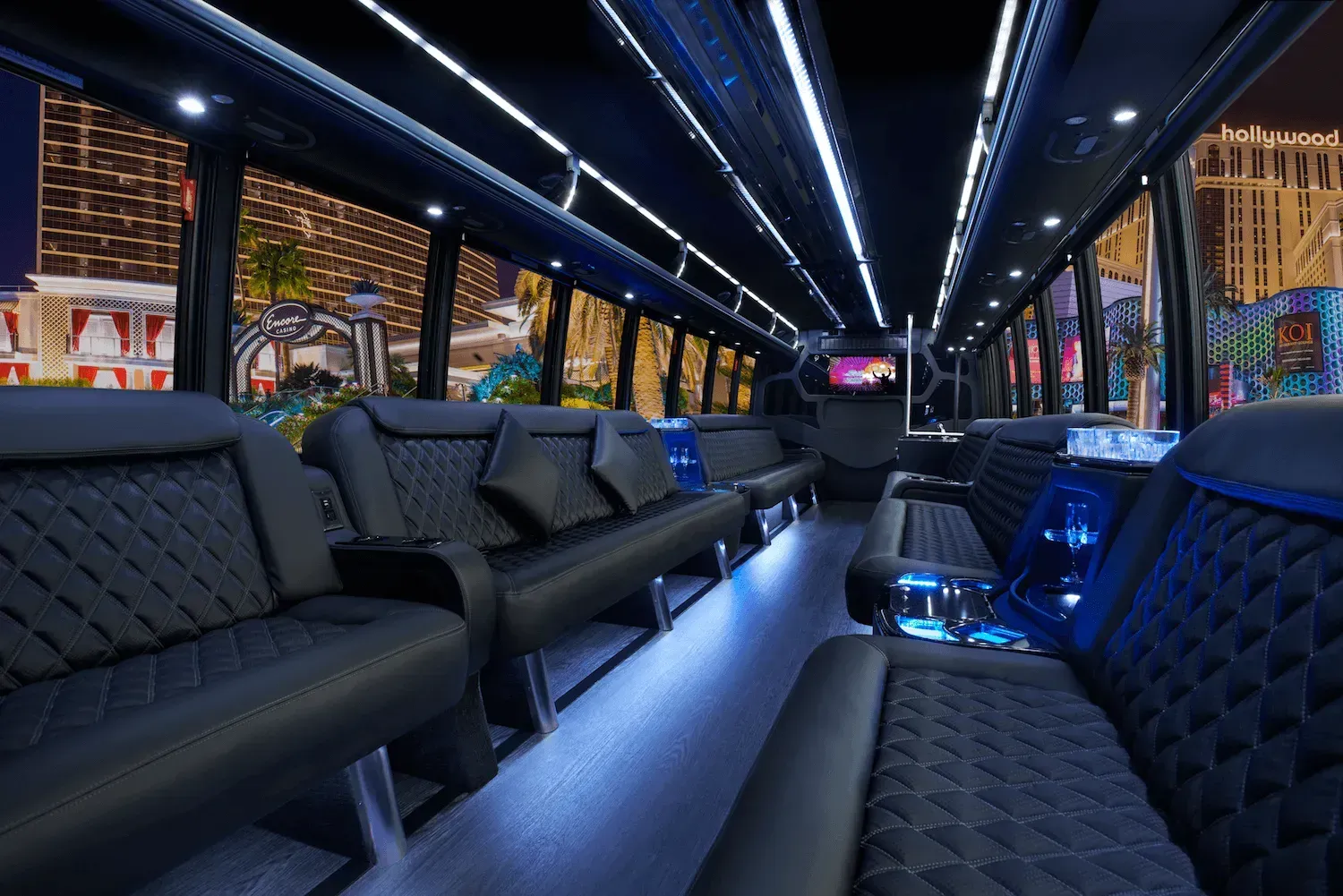 28 passenger party bus rental