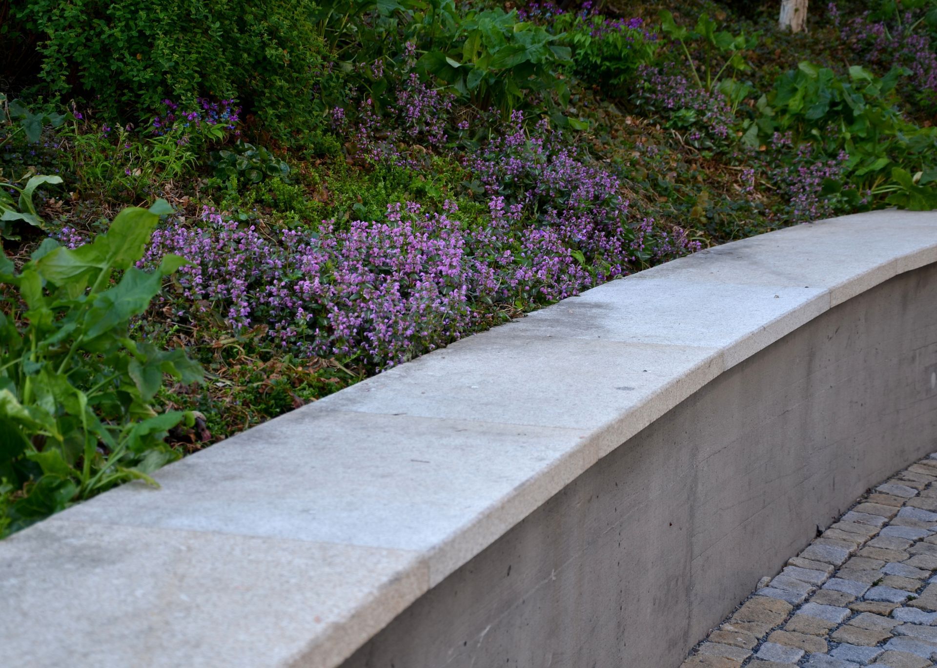 Curved stone bench beside a flower bed with purple blooms and greenery