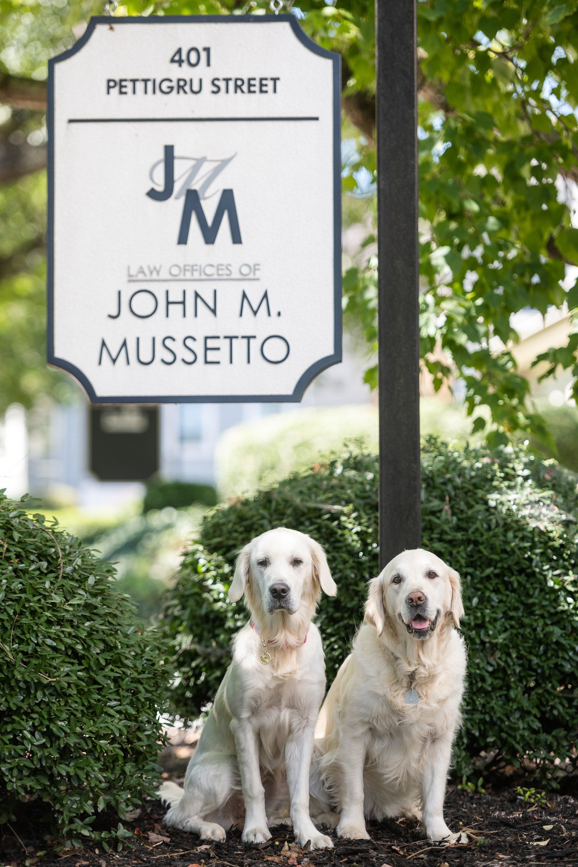 Lily & Lucy — Greenville, SC — The Law Offices of John M Mussetto LLC