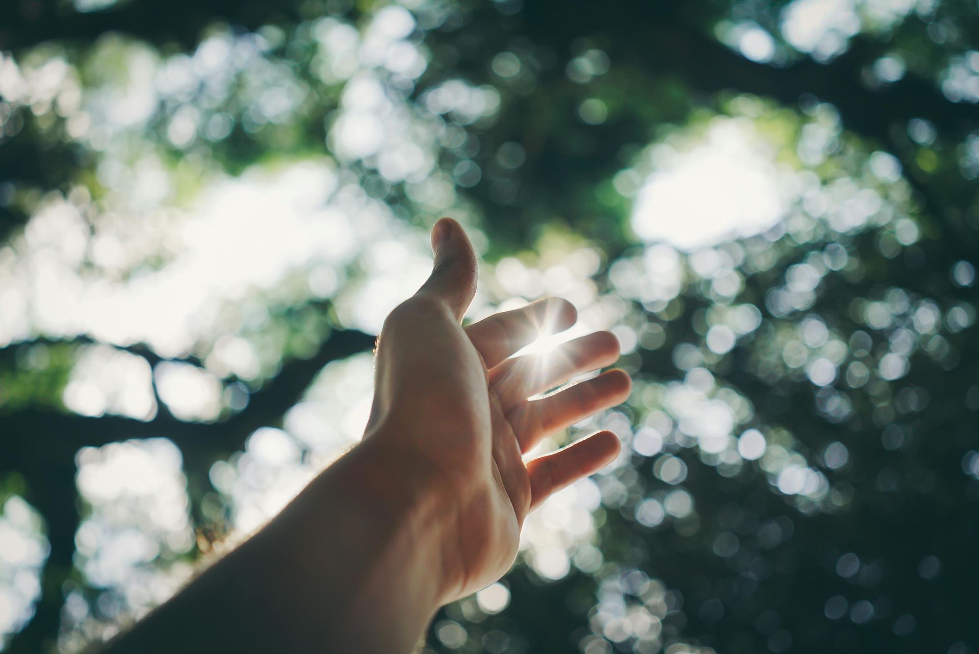 Hand reaching up towards sunlight filtering through trees.