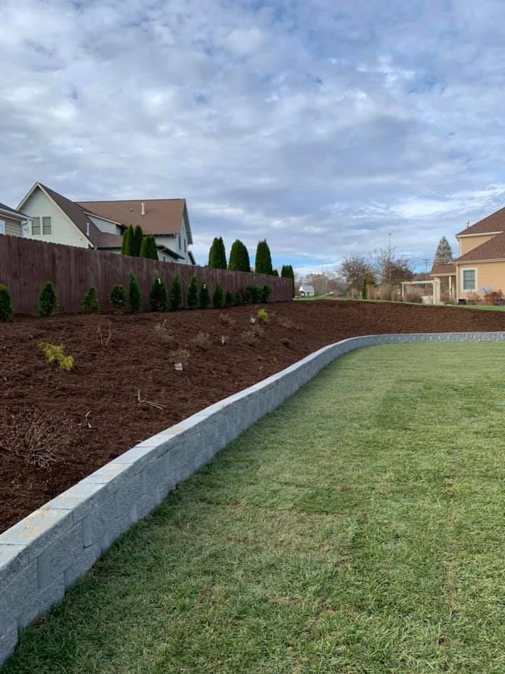 There is a fence in the background and a lush green field in the foreground.