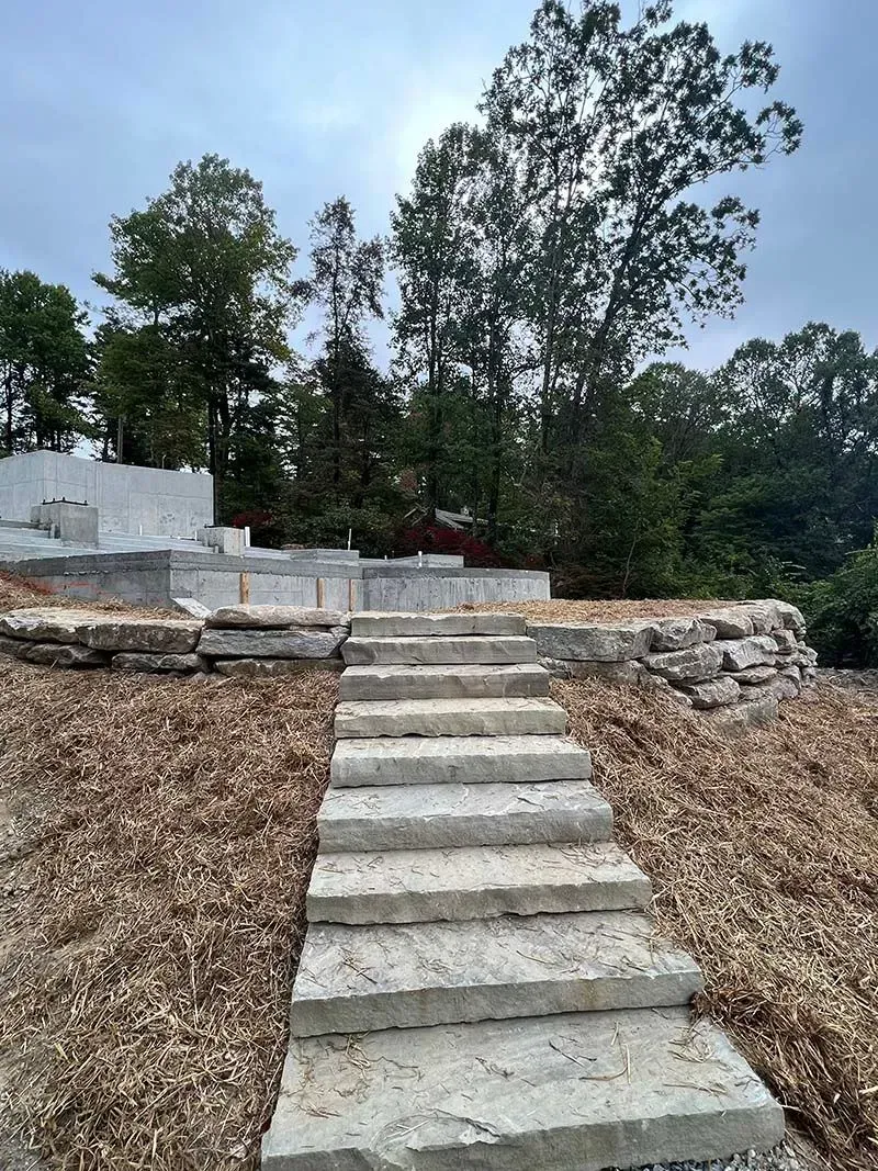 A set of concrete stairs leading up to a hill with trees in the background.