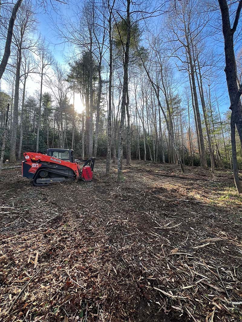 A red bulldozer is sitting in the middle of a forest.