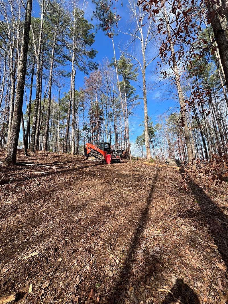 A red excavator is cutting down trees in the woods.
