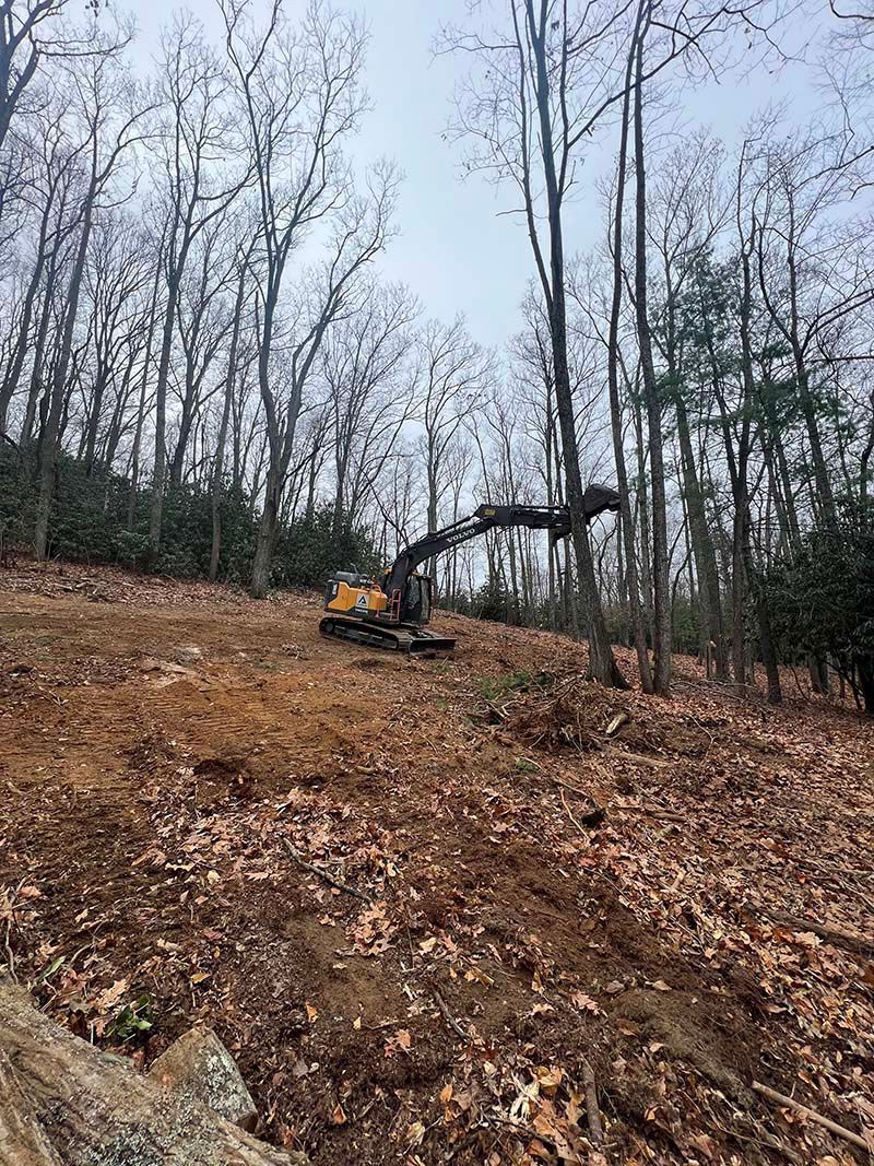 A bulldozer is cutting down trees in the woods.